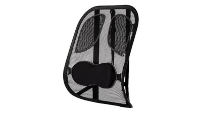 Fellowes Professional Series Mesh Back Support at BiGDUG