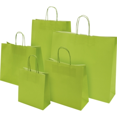 Sacchetto di carta FRESH, verde, lungh. x largh. x alt. 320 x 130 x 280 mm, 100 g/m², conf. da 250 pz., a partire da 10 conf. 2