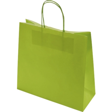 Sacchetto di carta FRESH, verde, lungh. x largh. x alt. 250 x 110 x 240 mm, 100 g/m², conf. da 250 pz., a partire da 10 conf. 1
