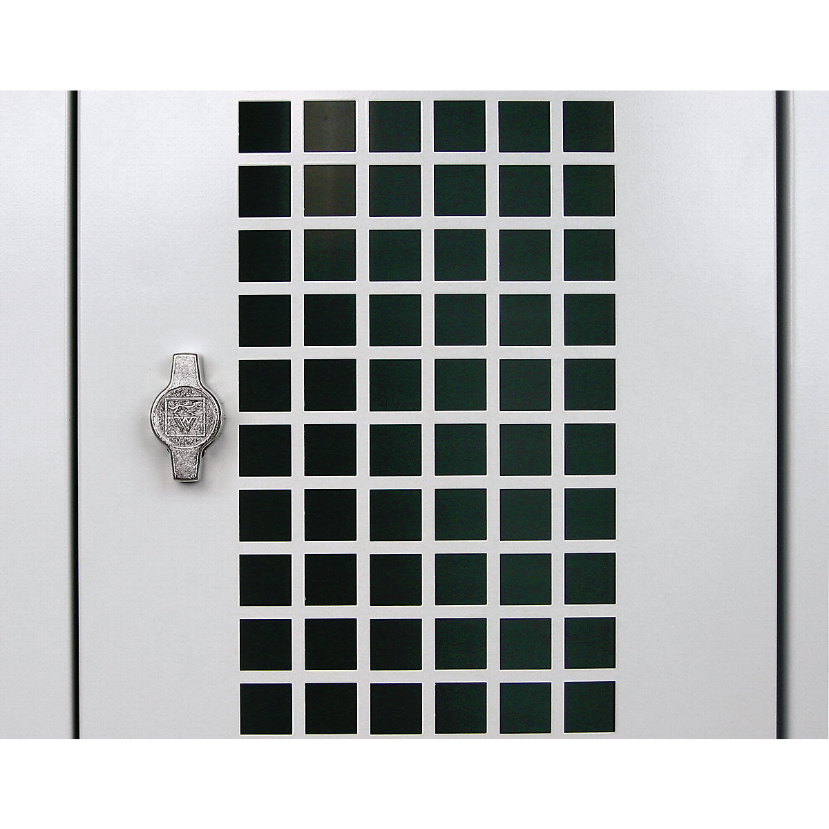 Puerta para armario de acero – Wolf (Imagen del producto 2)-1