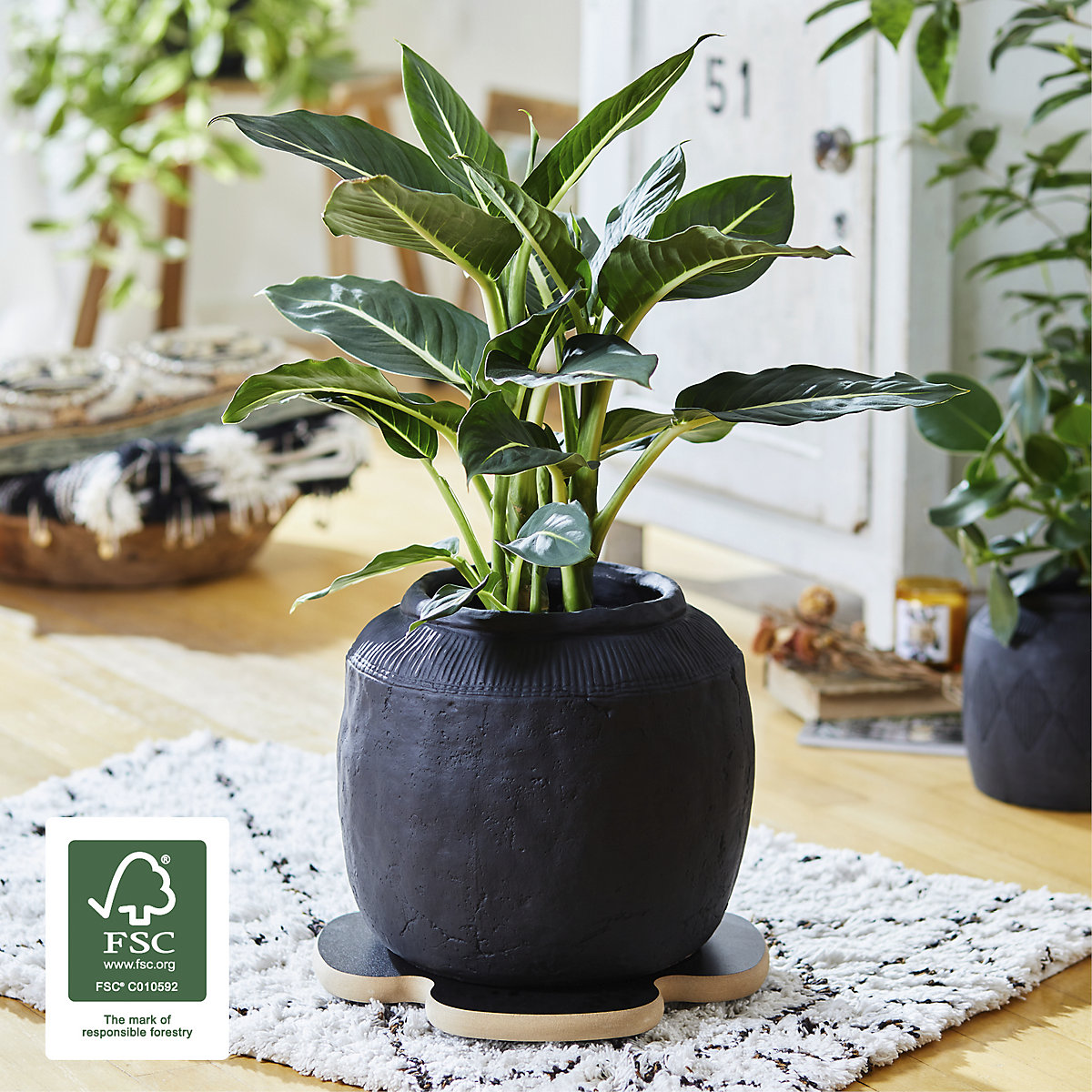 Suporte de rodas para plantas MDF – Wagner (Imagem do produto 3)-2