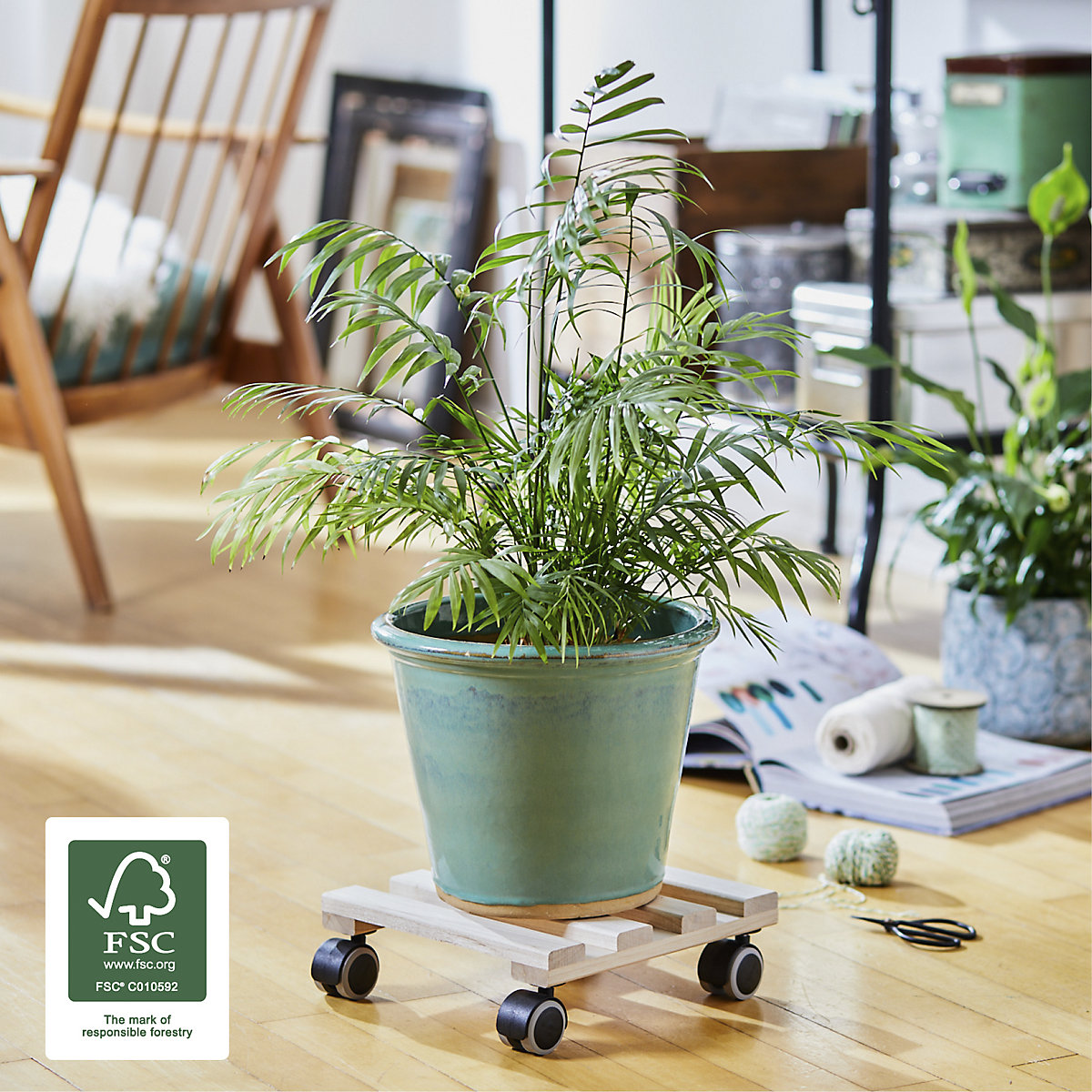 Suporte de rodas para plantas em faia PALETTI – Wagner (Imagem do produto 6)-5