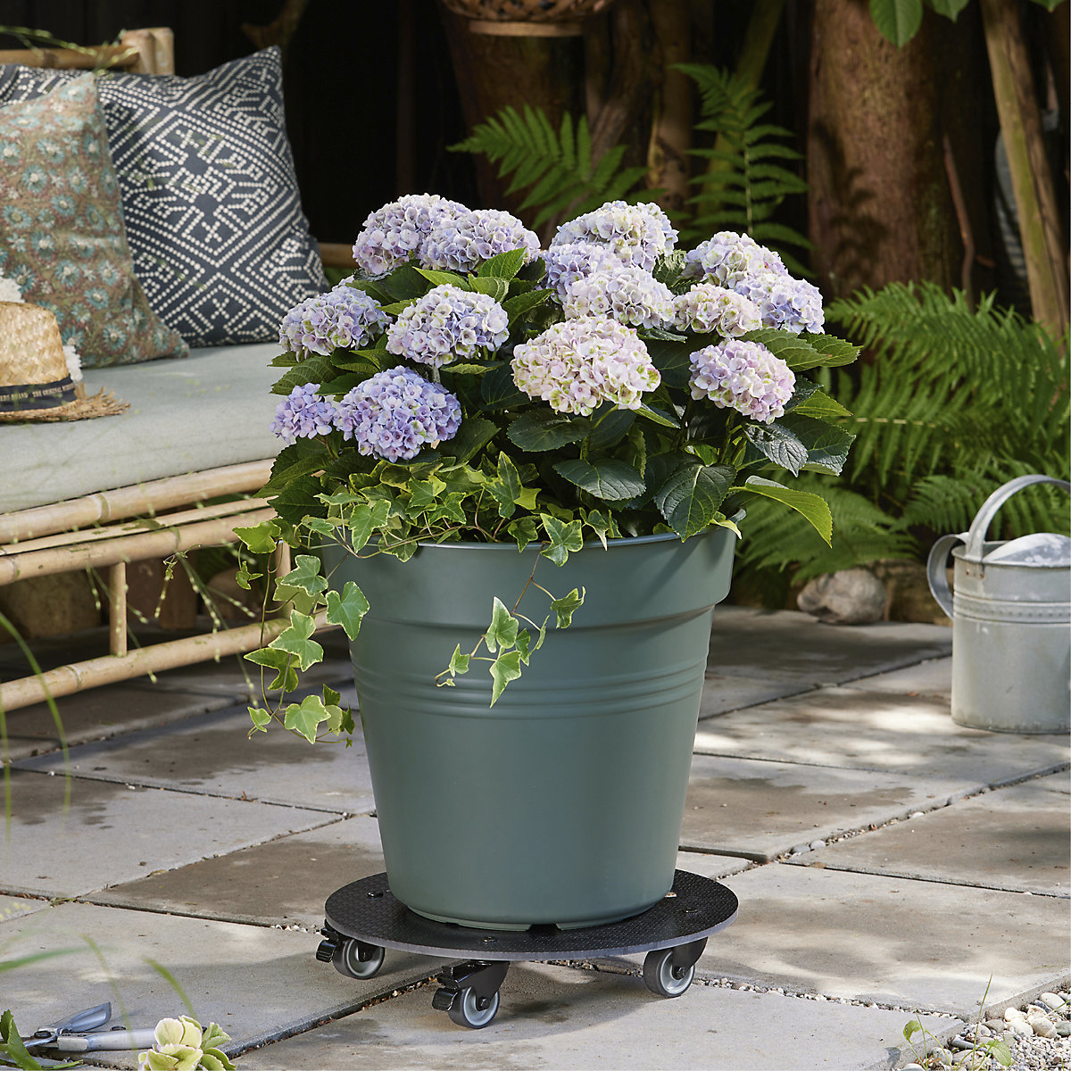 Suporte de rodas para plantas – Wagner (Imagem do produto 4)-3