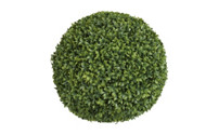 Ligustrum