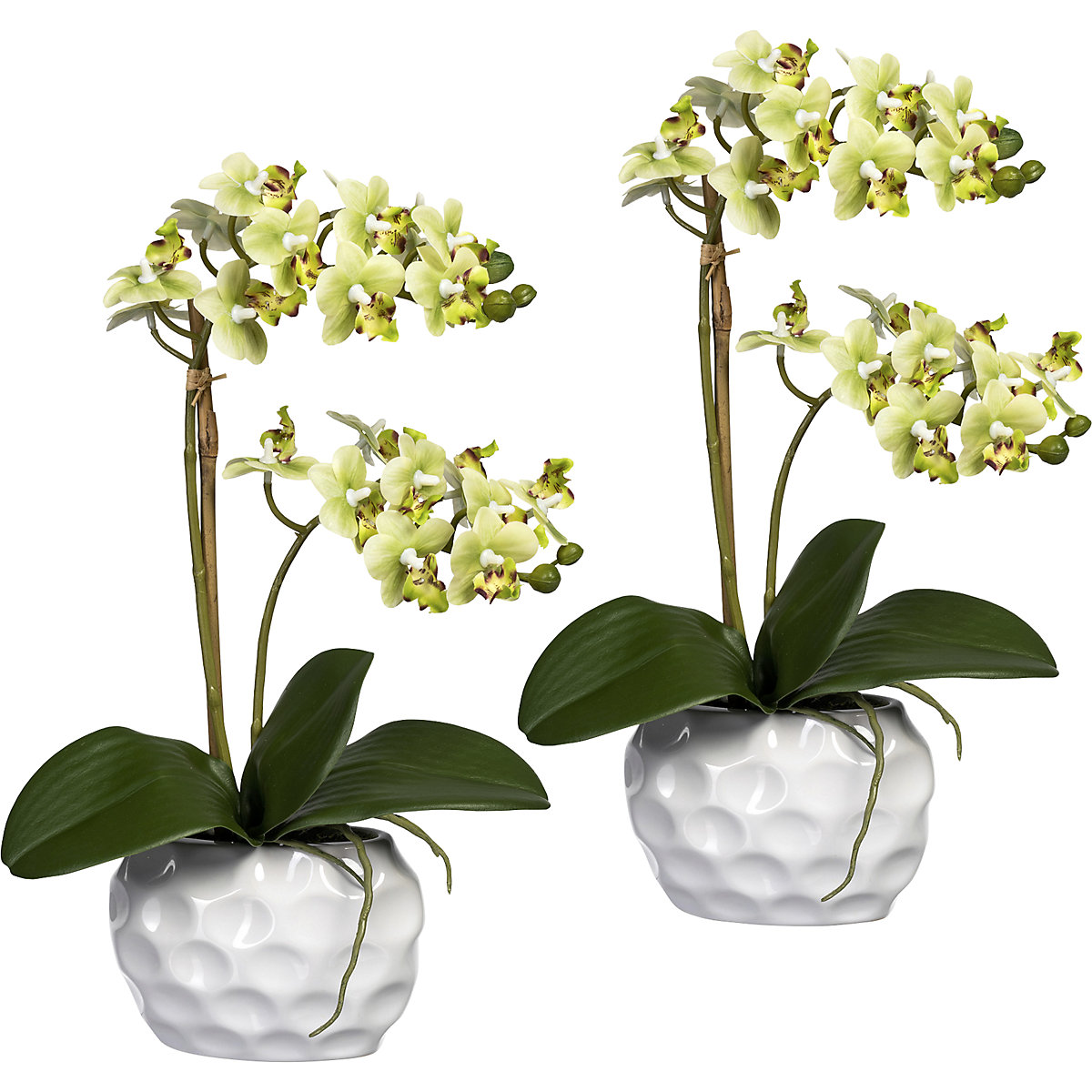 Bianco 2 Olrla Bianco phalaenopsis Artificiale Orchid Bonsai con Vaso di Ceramica Wedding Party Garden Home Decor 