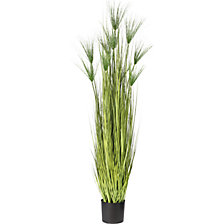 in vaso di plastica Ø x alt. 190 x 180 mm, altezza totale 1750 mm