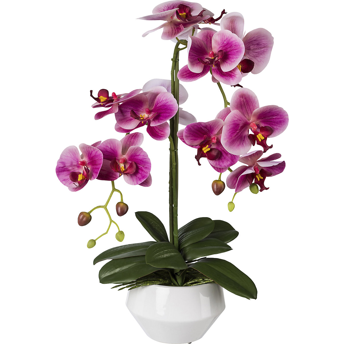 Orchidea artificiale Phalaenopsis, Real Touch