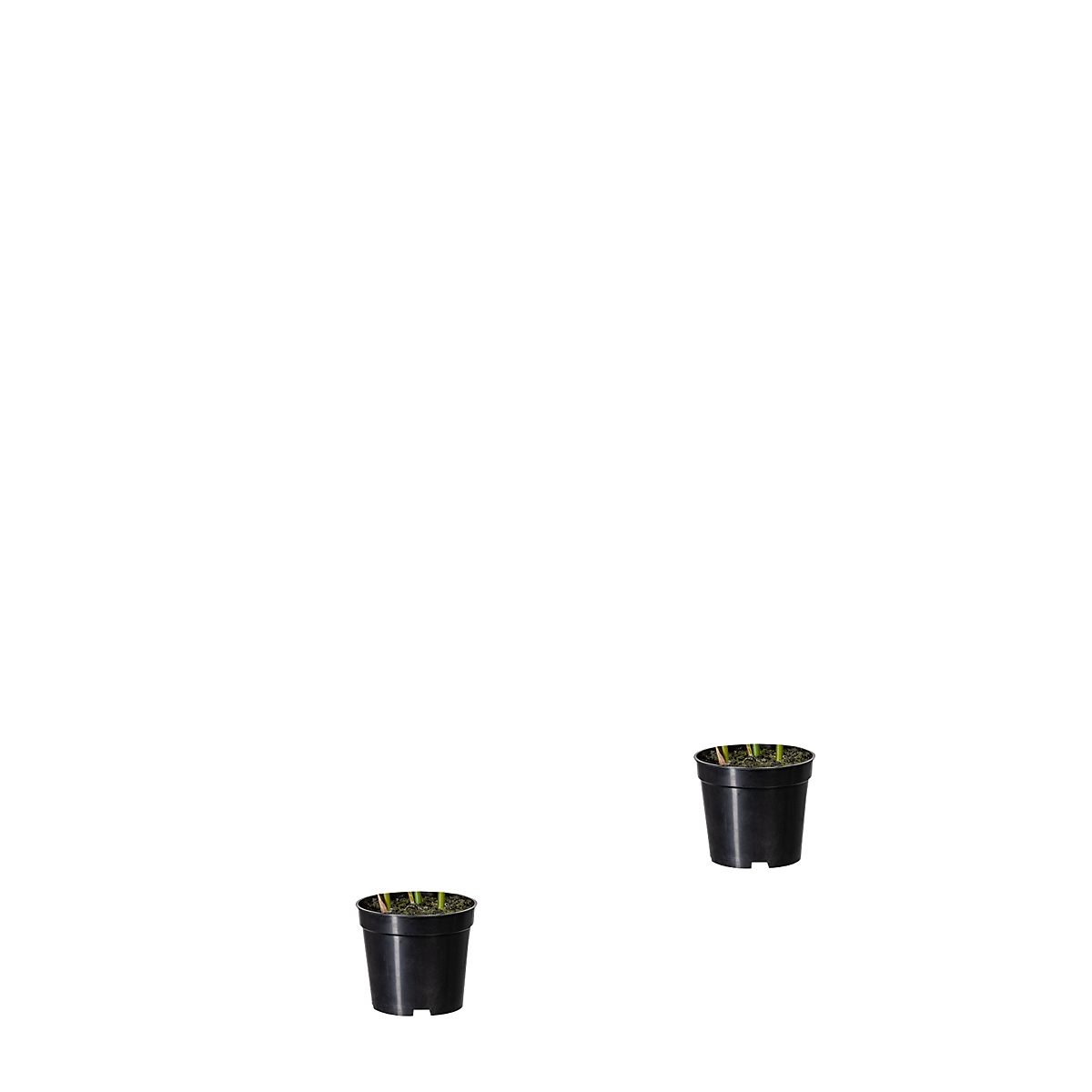 656084