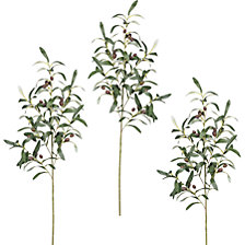 altezza 1000 mm, 16 frutti