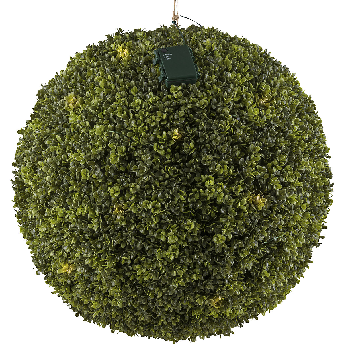 Sfera di bosso