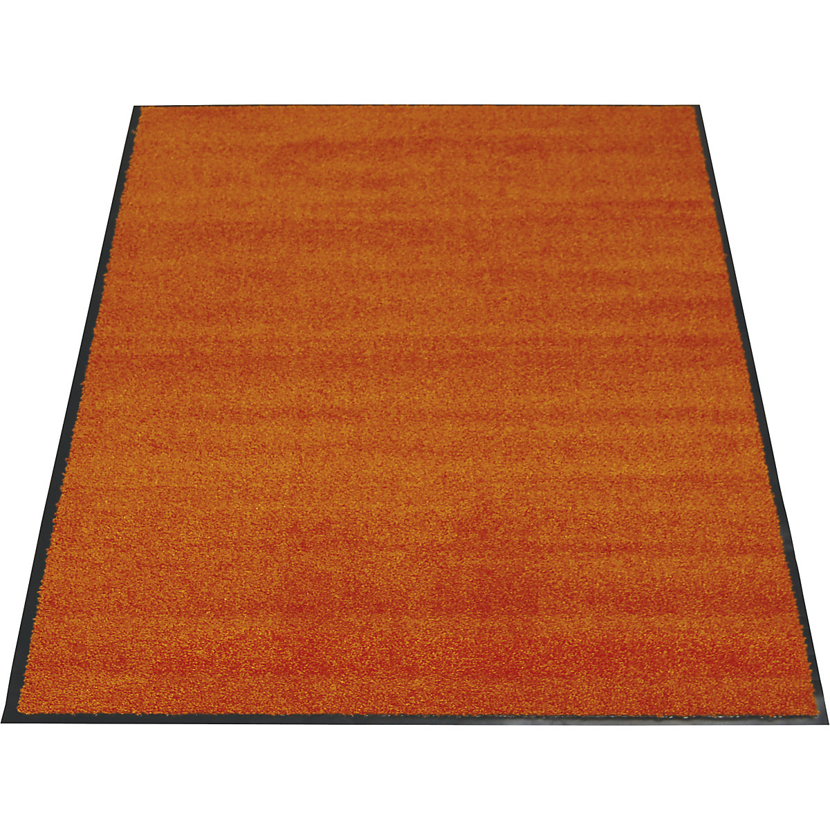 Zerbino catturasporco EAZYCARE COLOR – Miltex
