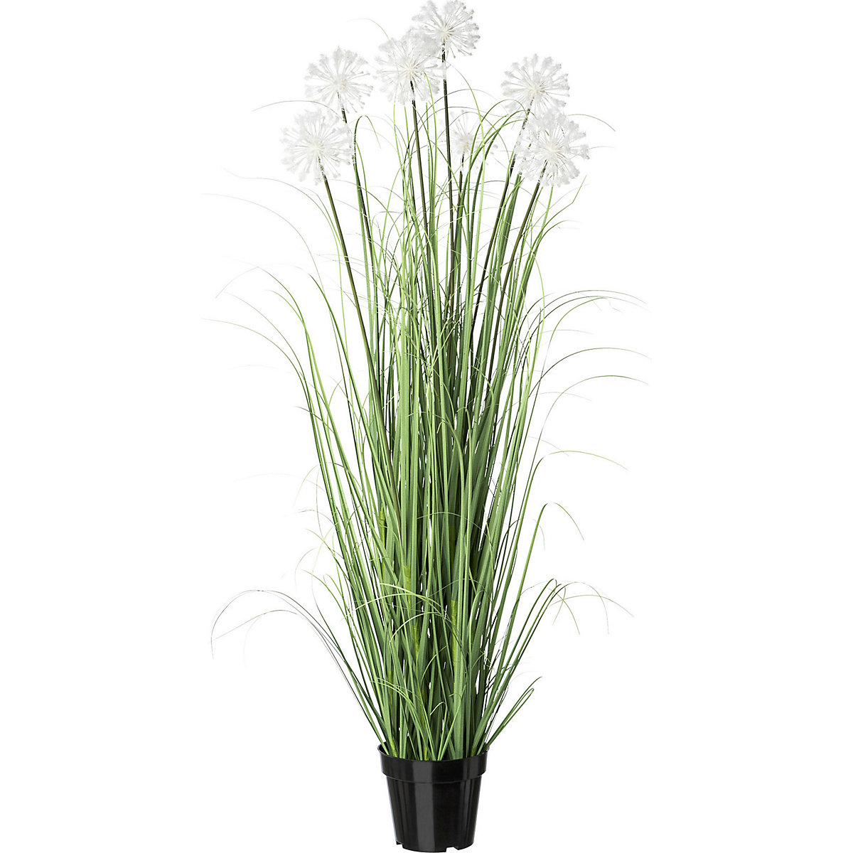 Cespuglio con soffioni (Foto prodotto 2)-1