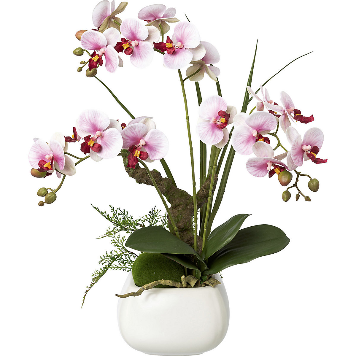 Orchidea phalaenopsis, real touch, altezza 460 mm, fiori viola-2