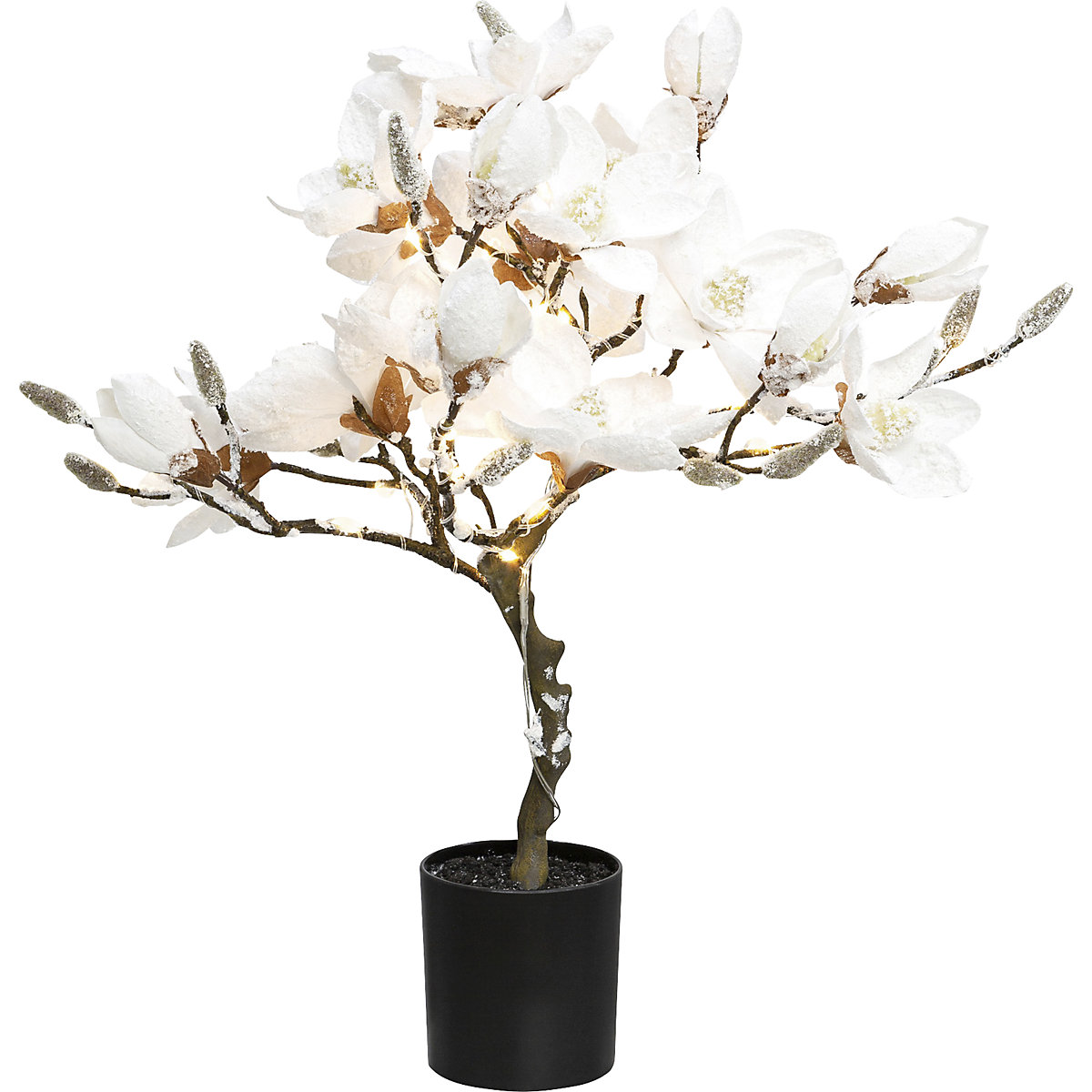 Pianta di magnolia con LED, ricoperta di neve (Foto prodotto 2)-1