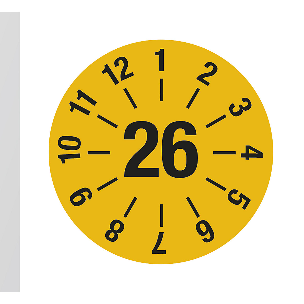 Targhetta di controllo per cavi, annuale