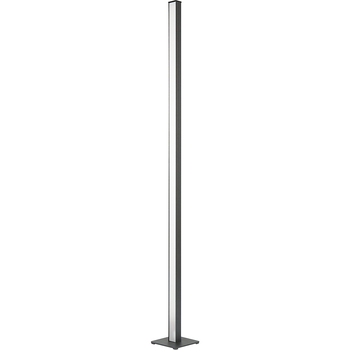 MAUL MAULpino Eco LED Column Light Anthracite 4