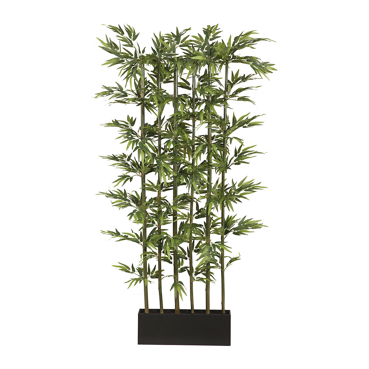 Bambusraumteiler, Naturstamm, grün, Höhe 1950 mm, 1880 Blätter-2