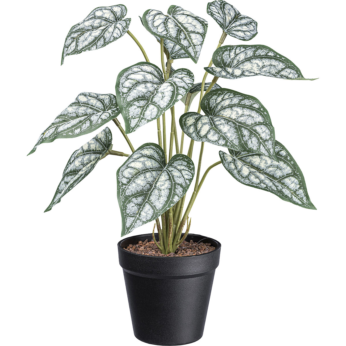 Künstliche Pflanze Syngonium (Produktabbildung 2)-1