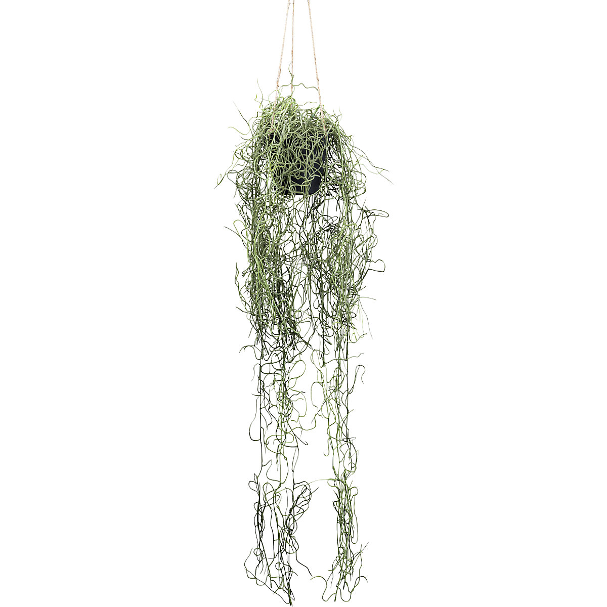 Künstliche Pflanze Tillandsia-Hänger (Produktabbildung 2)-1