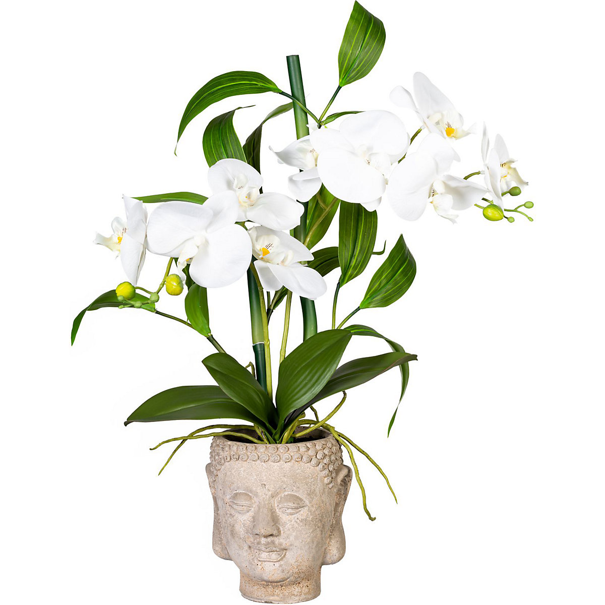Orchideen-Bambus Arrangement, im Zementtopf Buddha, weiß, real touch, Höhe ca. 600 mm-2