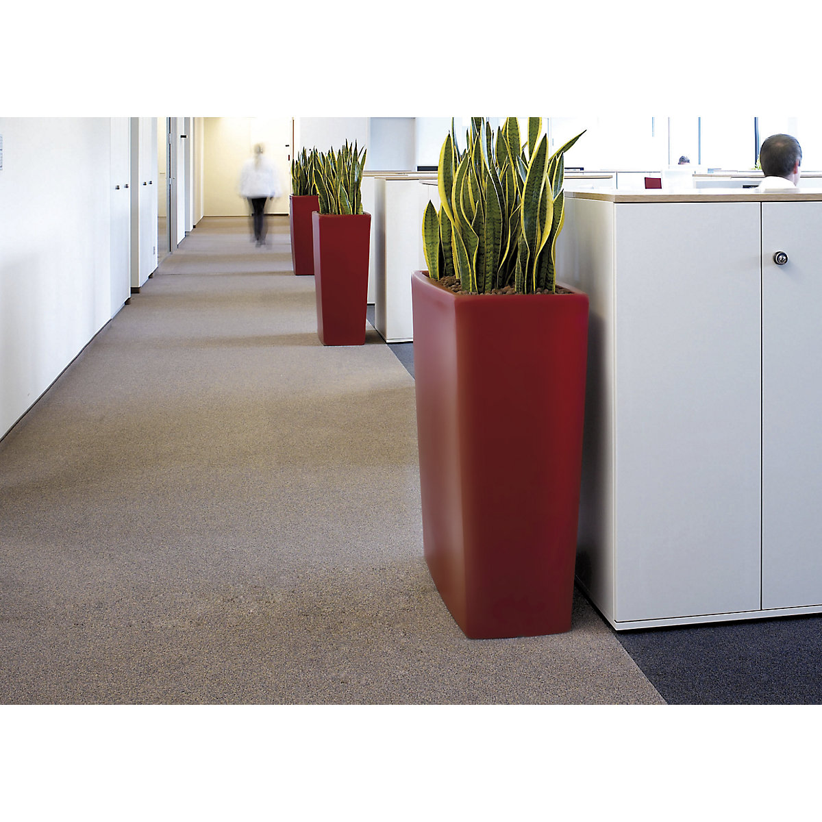 Plantenbak – DEGARDO (Productafbeelding 2)-1