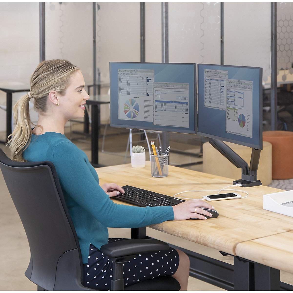 PLATINUM SERIES Monitorarm Fellowes (Produktabbildung 3)-2