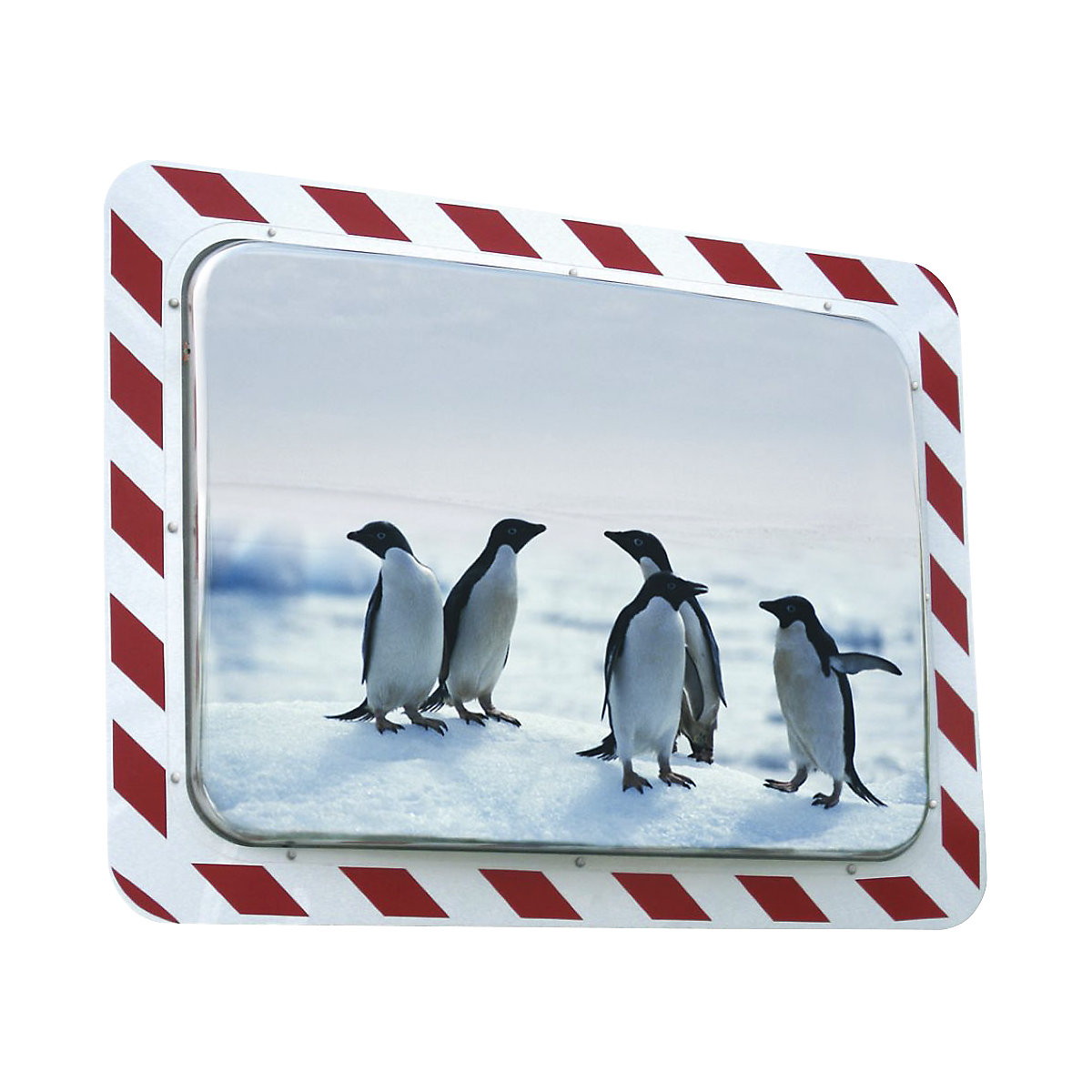 Vialux Traffic Mirror Red/White 600x800 mm 3