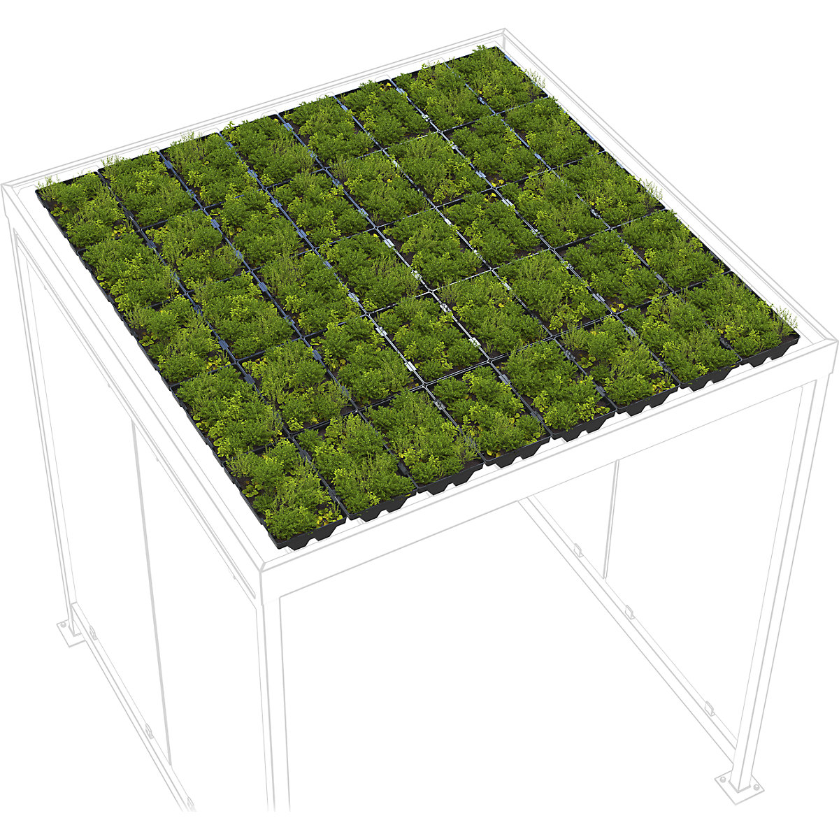 Dachbegrünung Economy WSM (Produktabbildung 2)-1