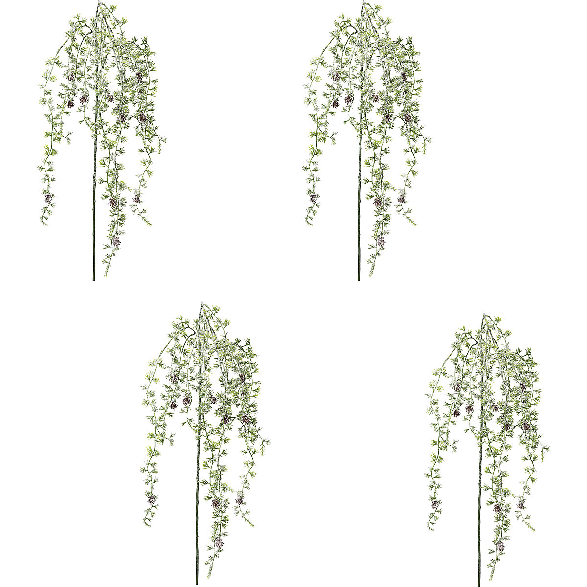 Branches de cèdre, 4 pièces