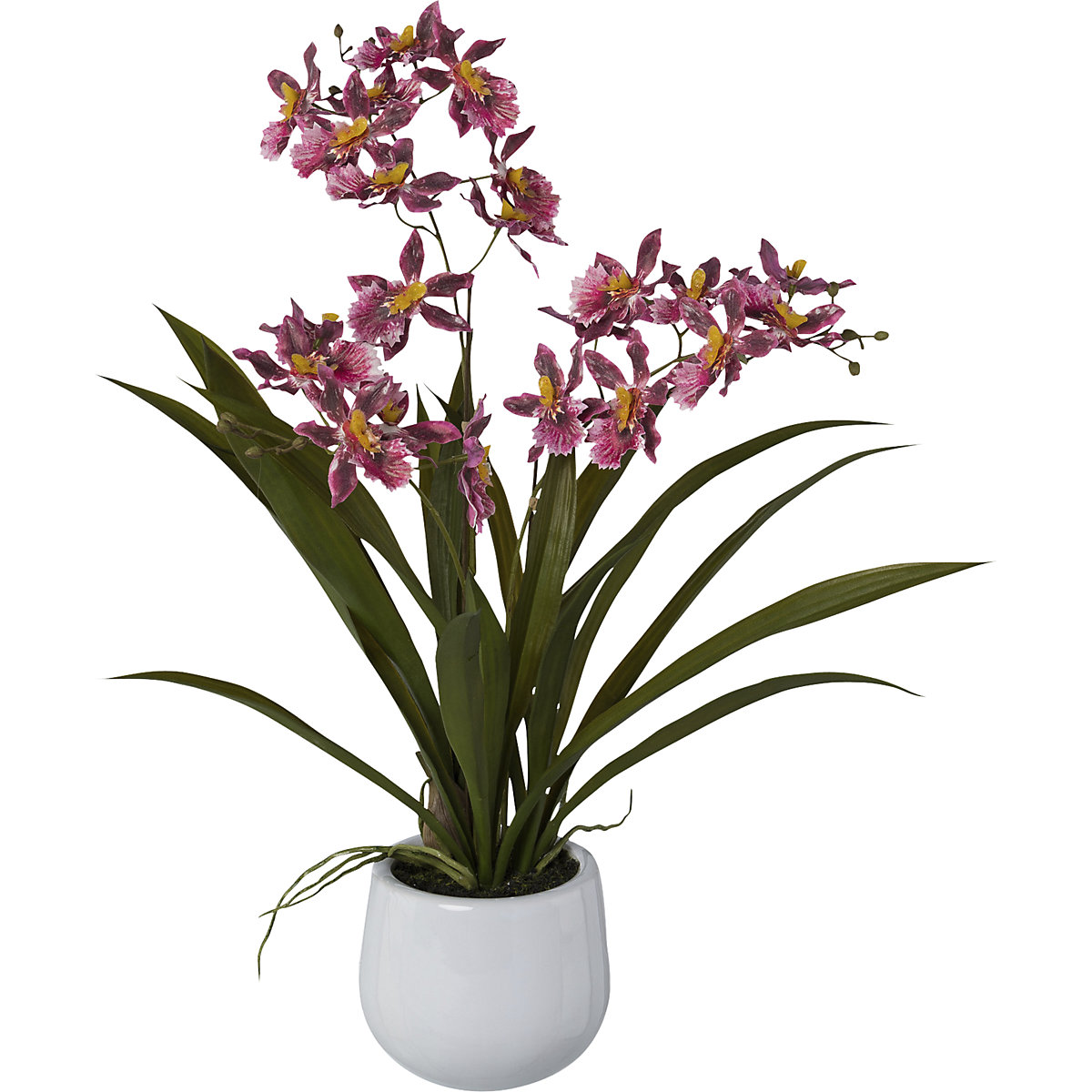 Plante artificielle Orchidée Cambria (Illustration du produit 2)-1