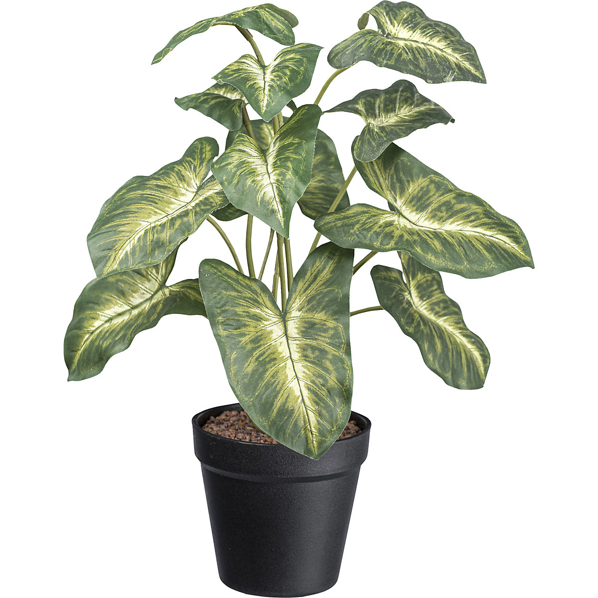 Plante artificielle Syngonium Pixie (Illustration du produit 2)-1