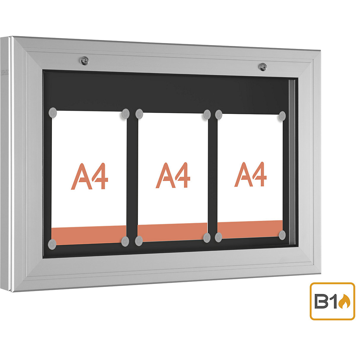 Vitrine d'affichage (Illustration du produit 4)-3