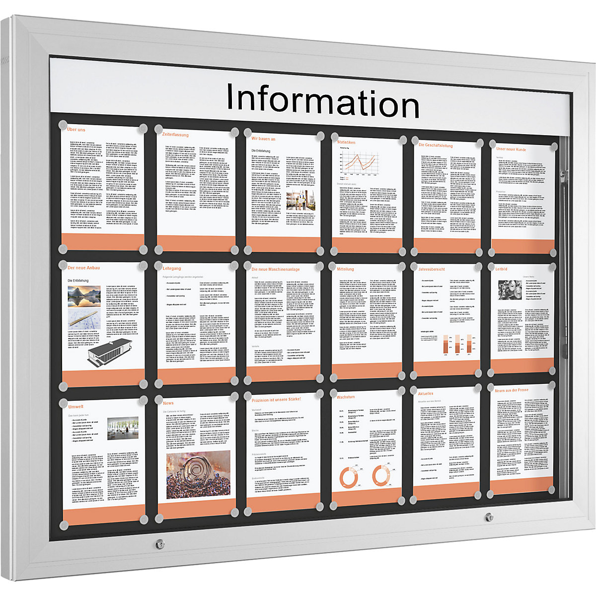 Vitrine d'affichage