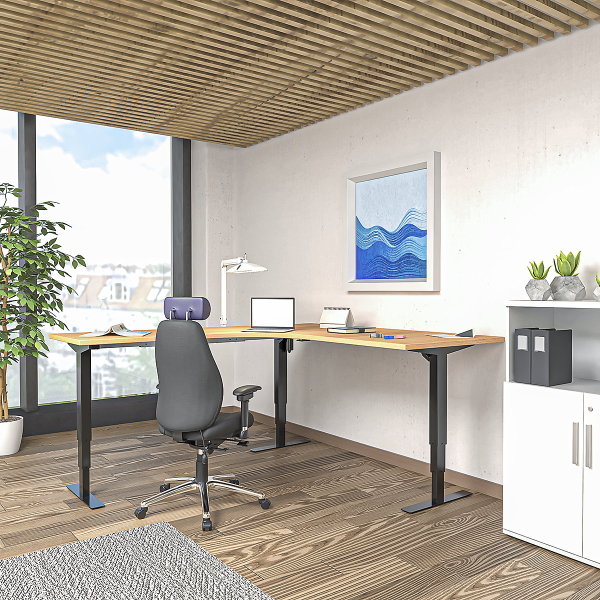 Bureau assis-debout électrique Atlanta (Illustration du produit 6)-5