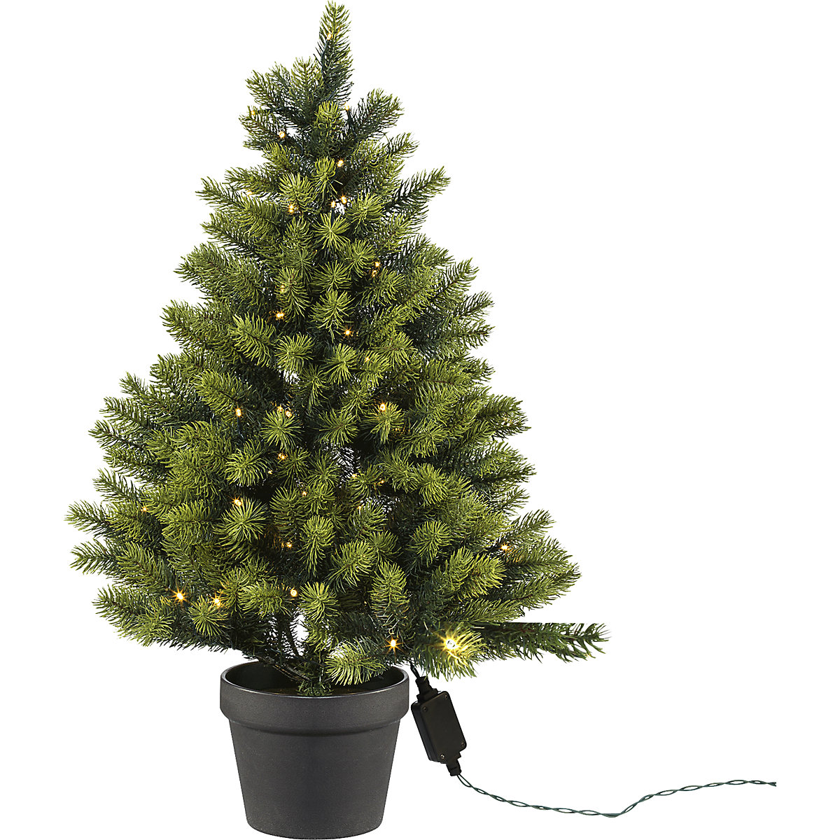 Tannenbaum Topf Einpflanzen 2025 Ranna Zsazsa