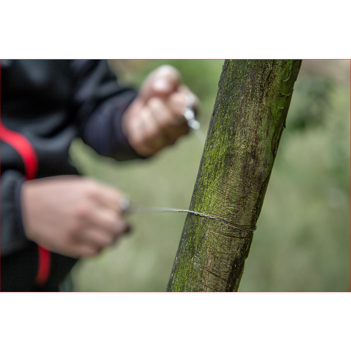 Sierra de hilo – KS Tools (Imagen del producto 6)-5