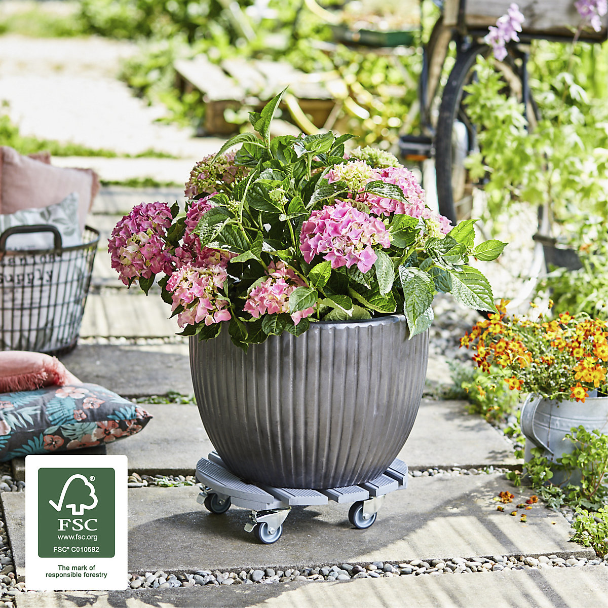 Plateau roulant pour plantes CREO – Wagner (Illustration du produit 5)-4