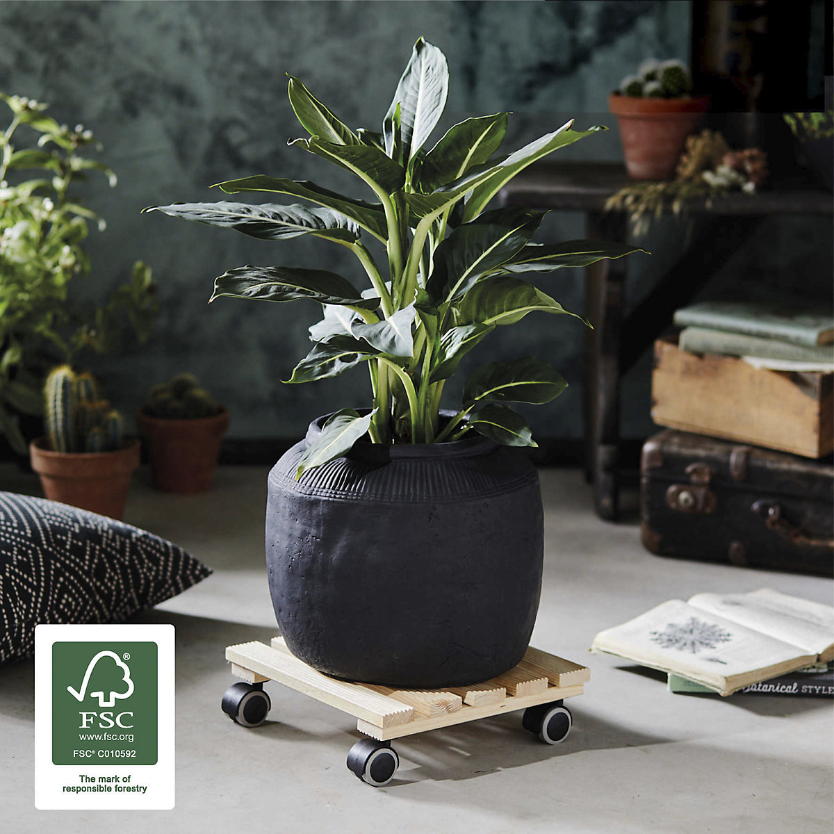 Plateau roulant pour plantes en bois NATURE – Wagner (Illustration du produit 5)-4