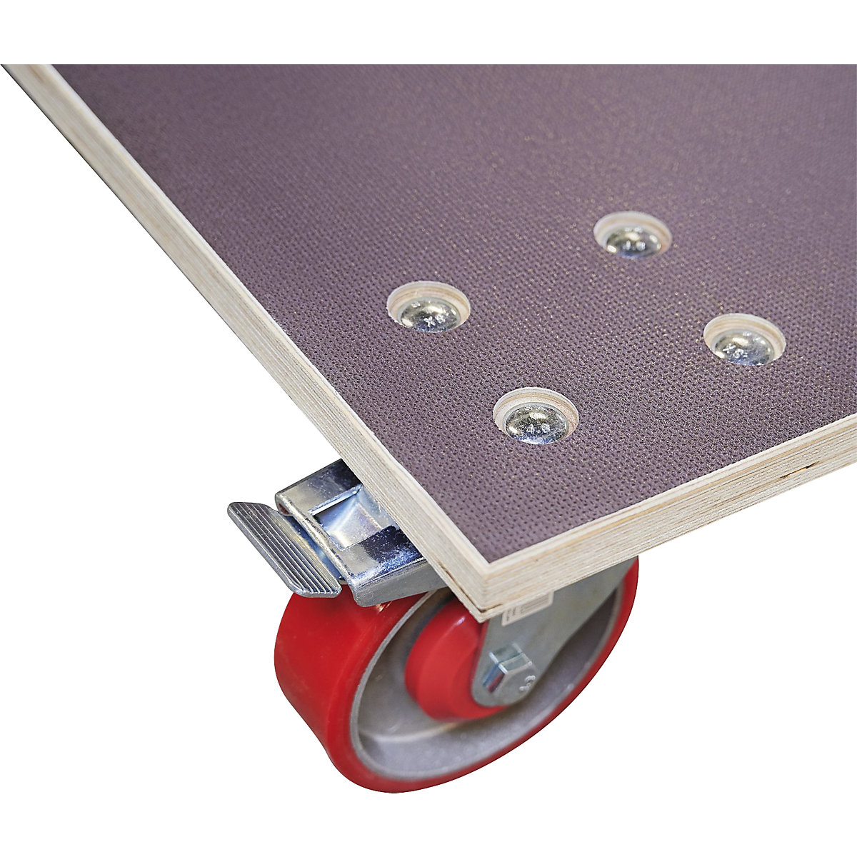 Plateau roulant professionnel – Wagner (Illustration du produit 12)-11