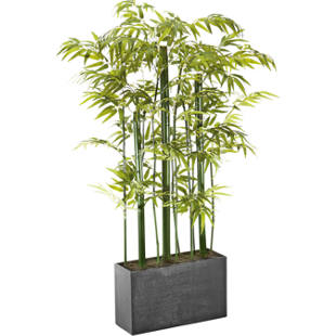 Mixed bamboo room divider