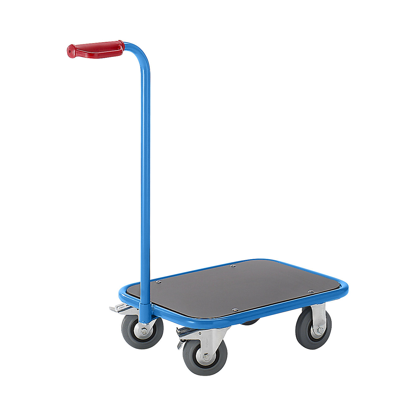 EUROKRAFTpro – Rodador con asa de primera calidad: carga máx. 250 kg, 1