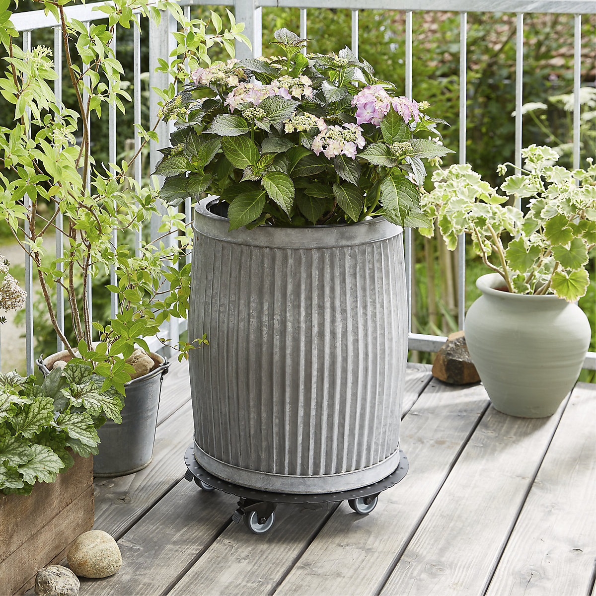 Suport pe roți, pentru plante, aluminiu ALASKA – Wagner (Imagine produs 6)-5