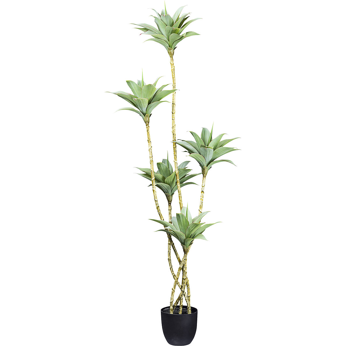 Agava, plantă artificială