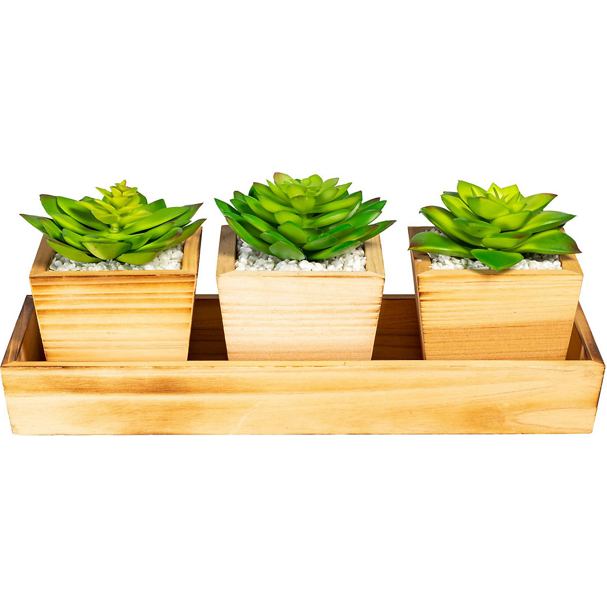 Aranjament de plante suculente pe tavă de lemn (Imagine produs 2)