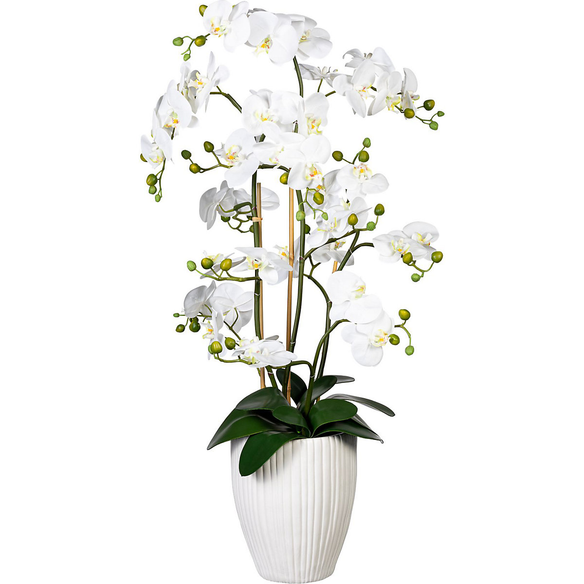 Orhidee Phalaenopsis, real touch, în vază ceramică, înălțime cca. 1100 mm, alb