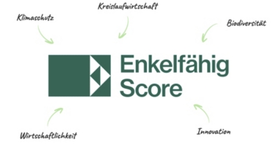 Enkelfähig Score ore