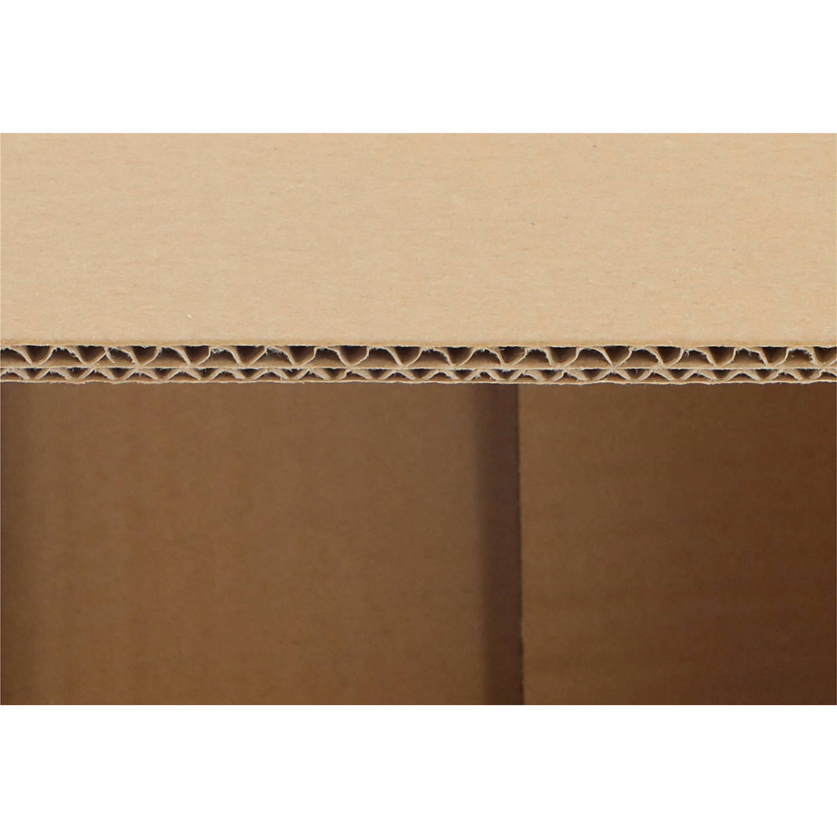 Caisse pliante en carton ondulé – ratioform terra (Illustration du produit 3)-2