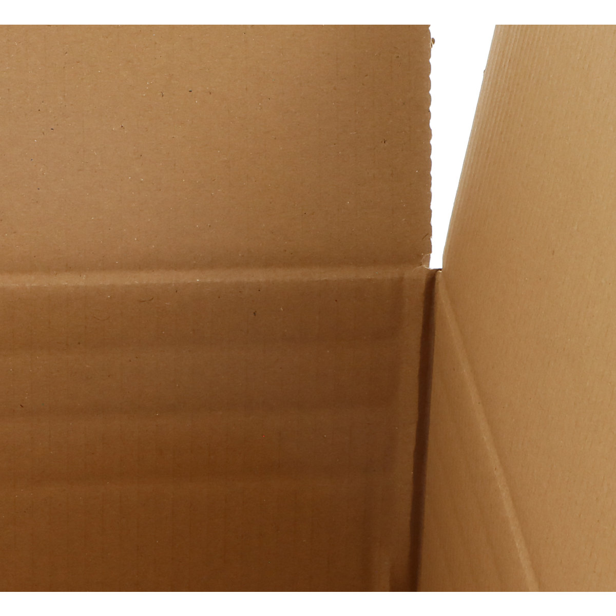 Caisse pliante en carton ondulé – ratioform terra (Illustration du produit 2)-1