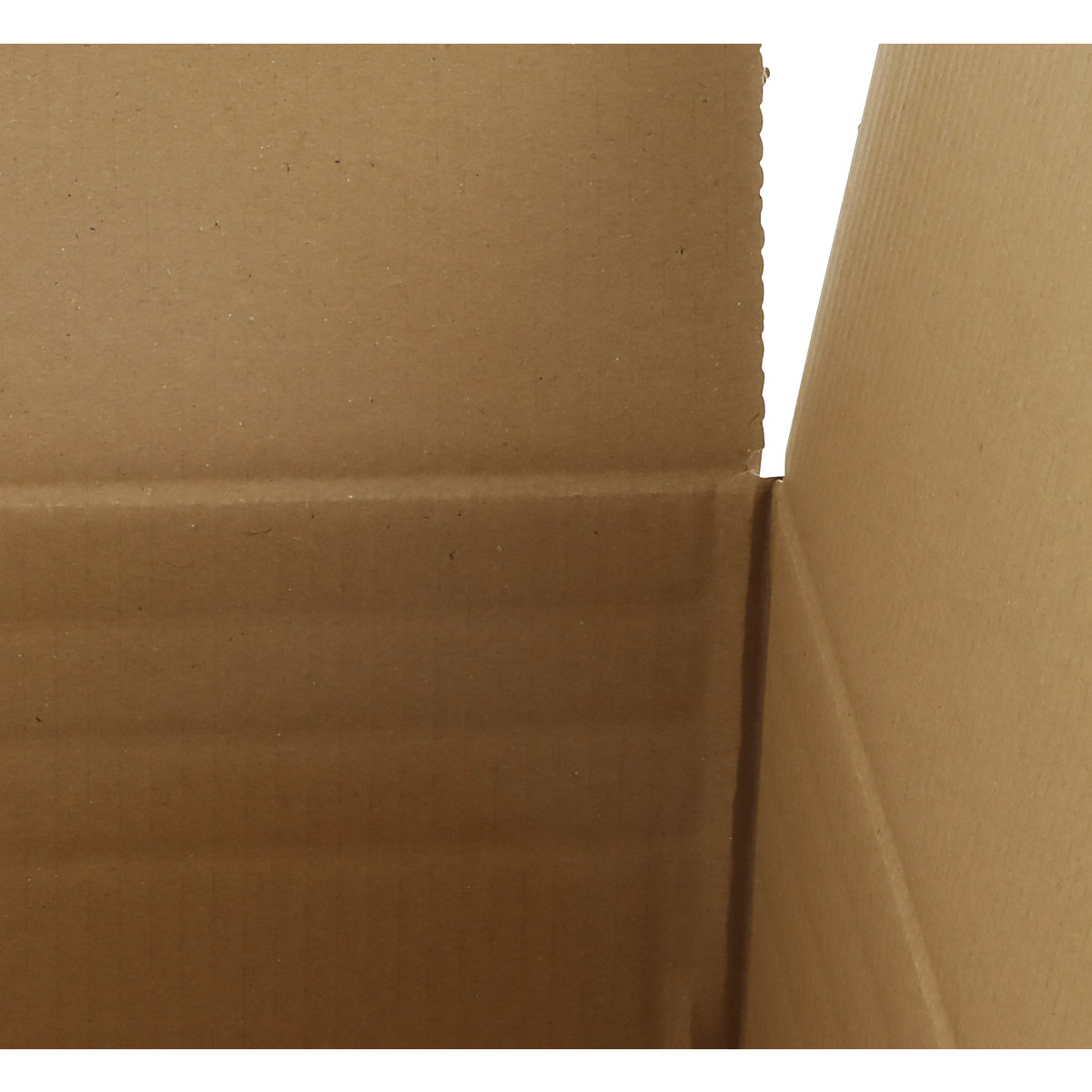 Carton de préparation de commandes – ratioform terra (Illustration du produit 3)-2