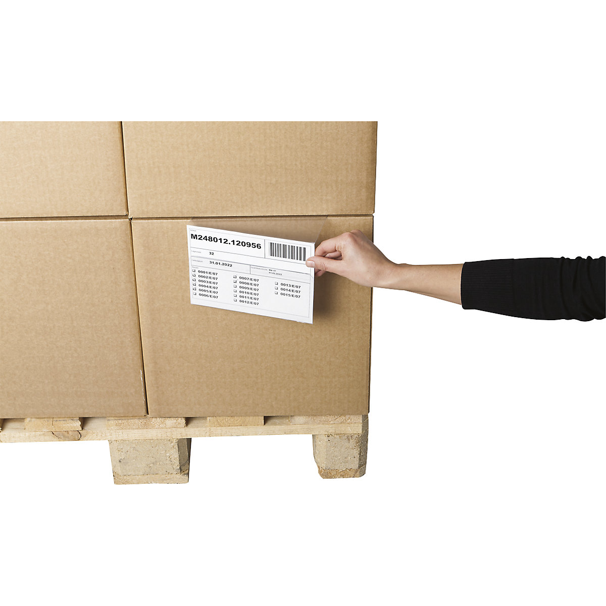 Bolsa em plástico duro (Imagem do produto 4)-3